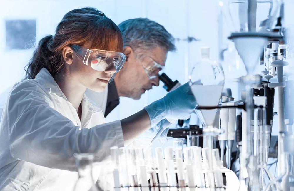A male and female research scientist looking into microscopes.