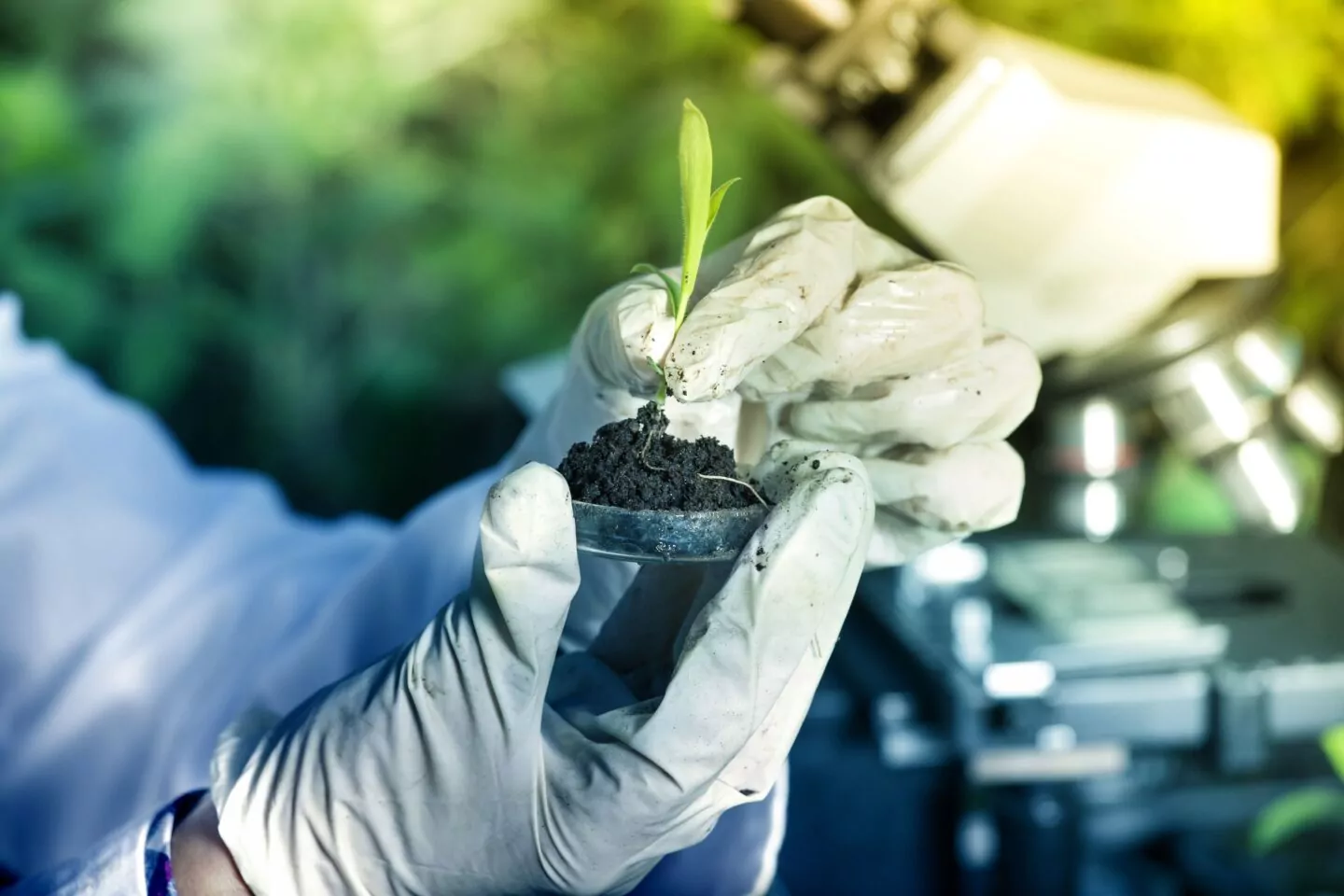 A pair of gloved hands holding a plant cutting in some dirt with a microscope in the background.